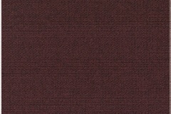 Autumn-681