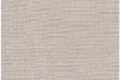 Maple-202