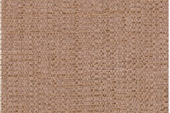 Maple-542