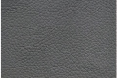 Shelly-5066